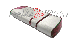 custom usb flash drive 